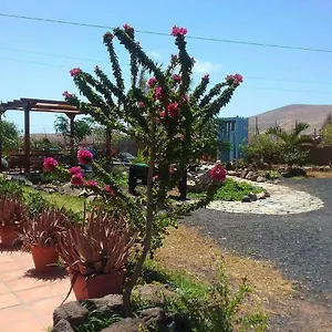 Country house Soleario, La Oliva